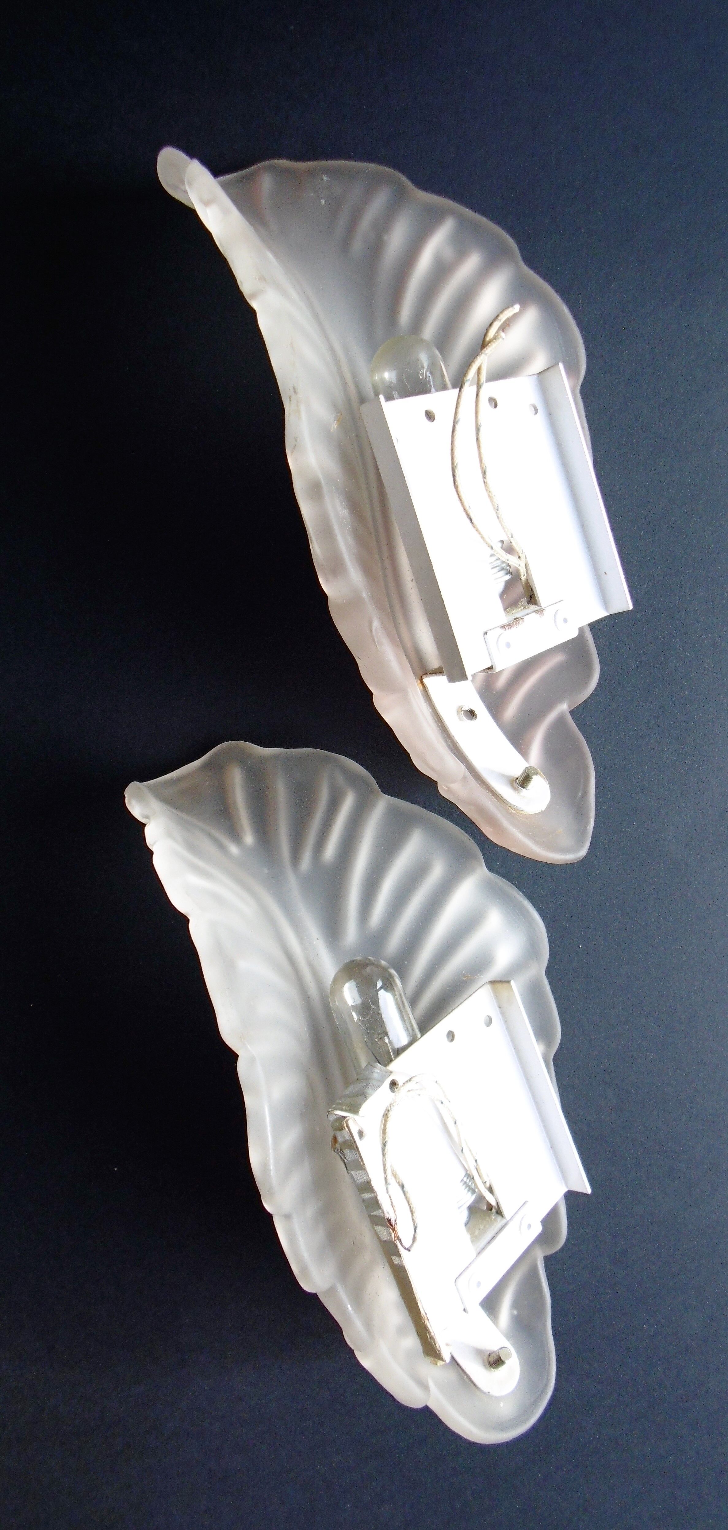 Paire of sconces 1950