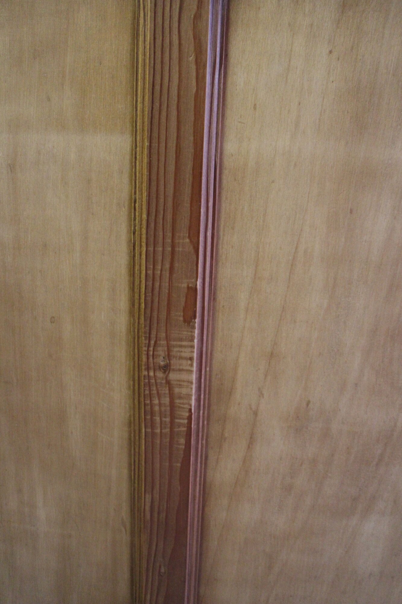 Parisian wardrobe sliding doors