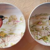 Lot de deux assiettes sarreguemines décor oiseaux
