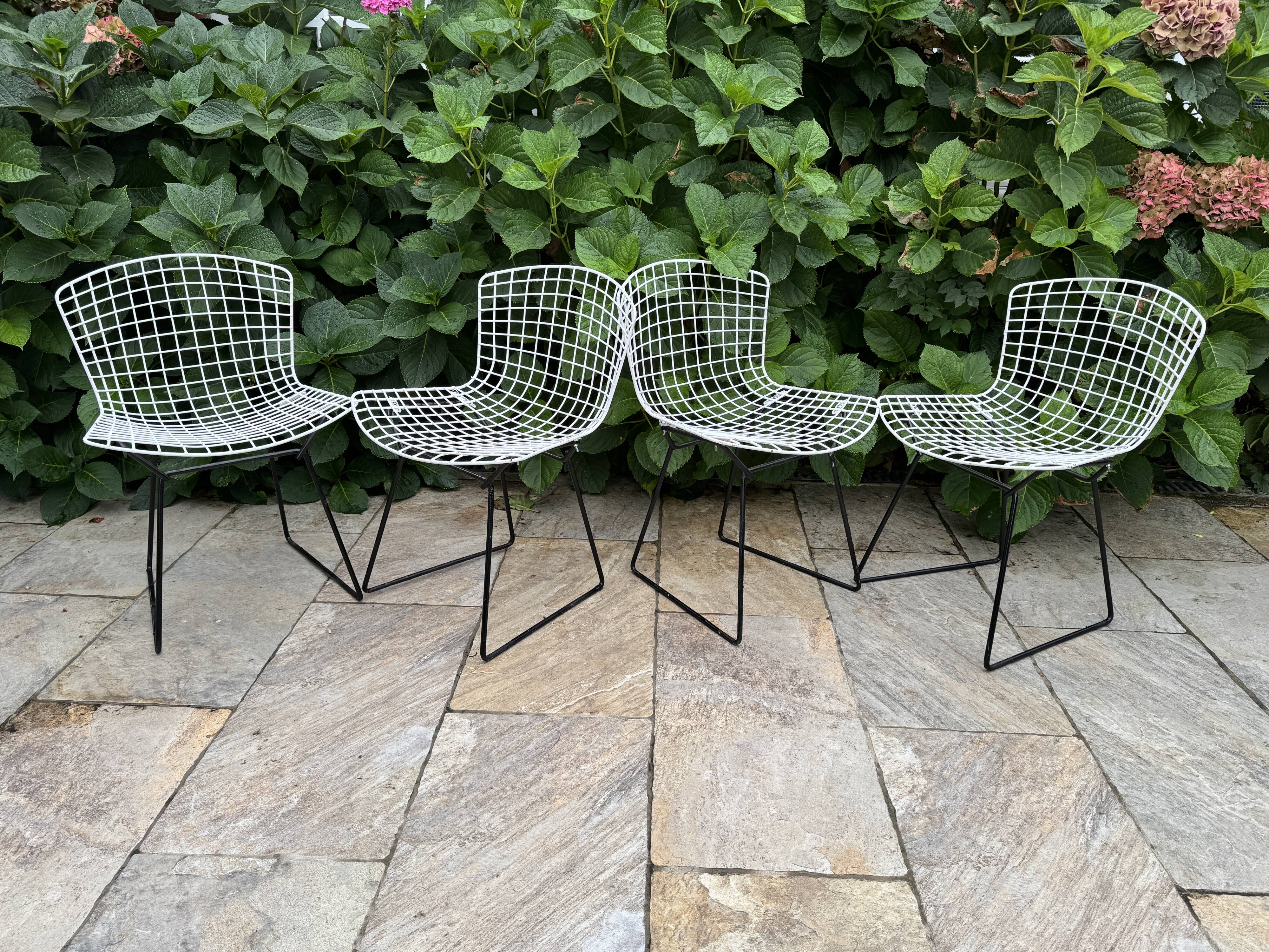 Chaise vintage Bertoia
