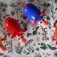 Jeu "le cochons qui rit" complet