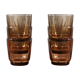 Verres à eau en verre fumé