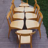 8 Zina chairs signed by Thibault Desombre