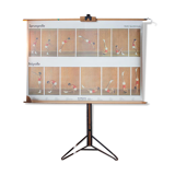 "Sports" published by Paul Sappl Austria 1968 poster