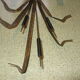 Reed applique of the 60s