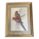John Gould: Colored engraving of tropical parrots: Platycercus Pennantii
