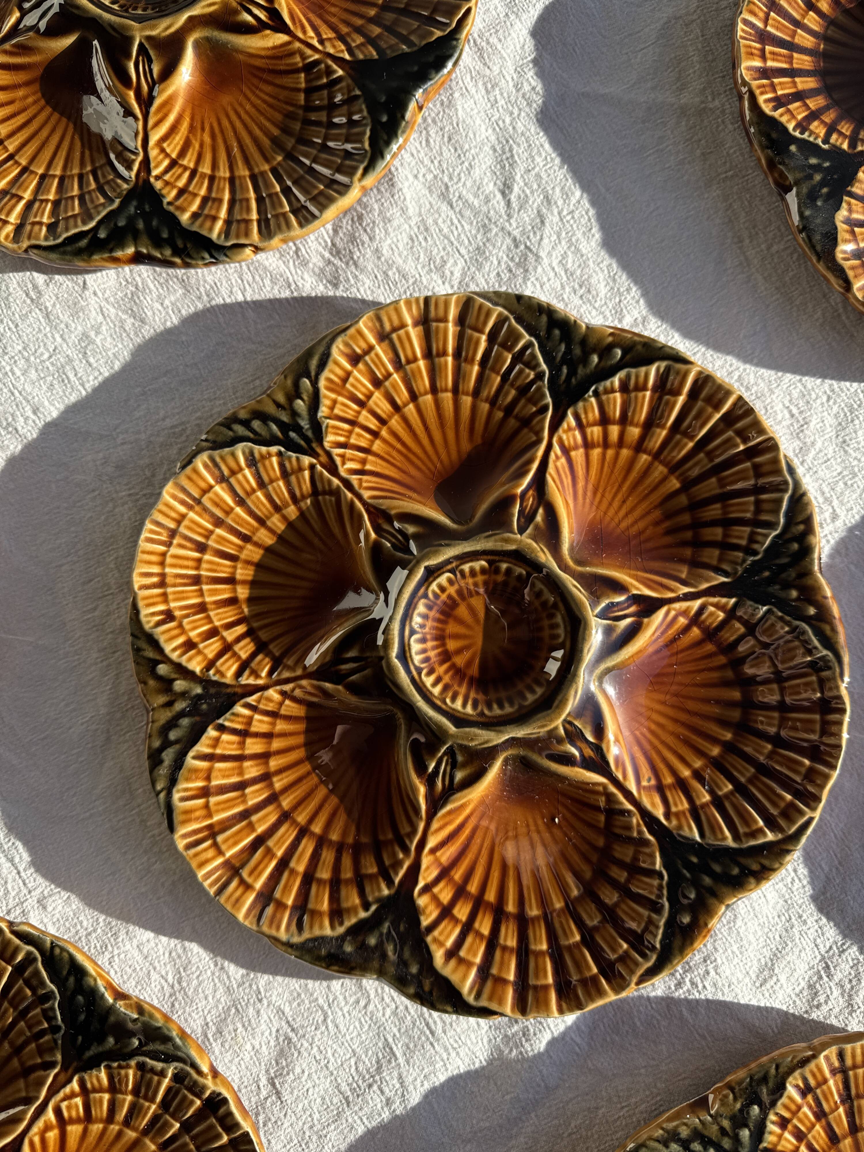 Set of 12 oyster or shell plates in glazed brown ceramic D