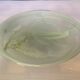 Large green pâte de verre dish.