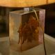 Lamp with plane tree leaf inclusion by Pierre Giraudon 1970s