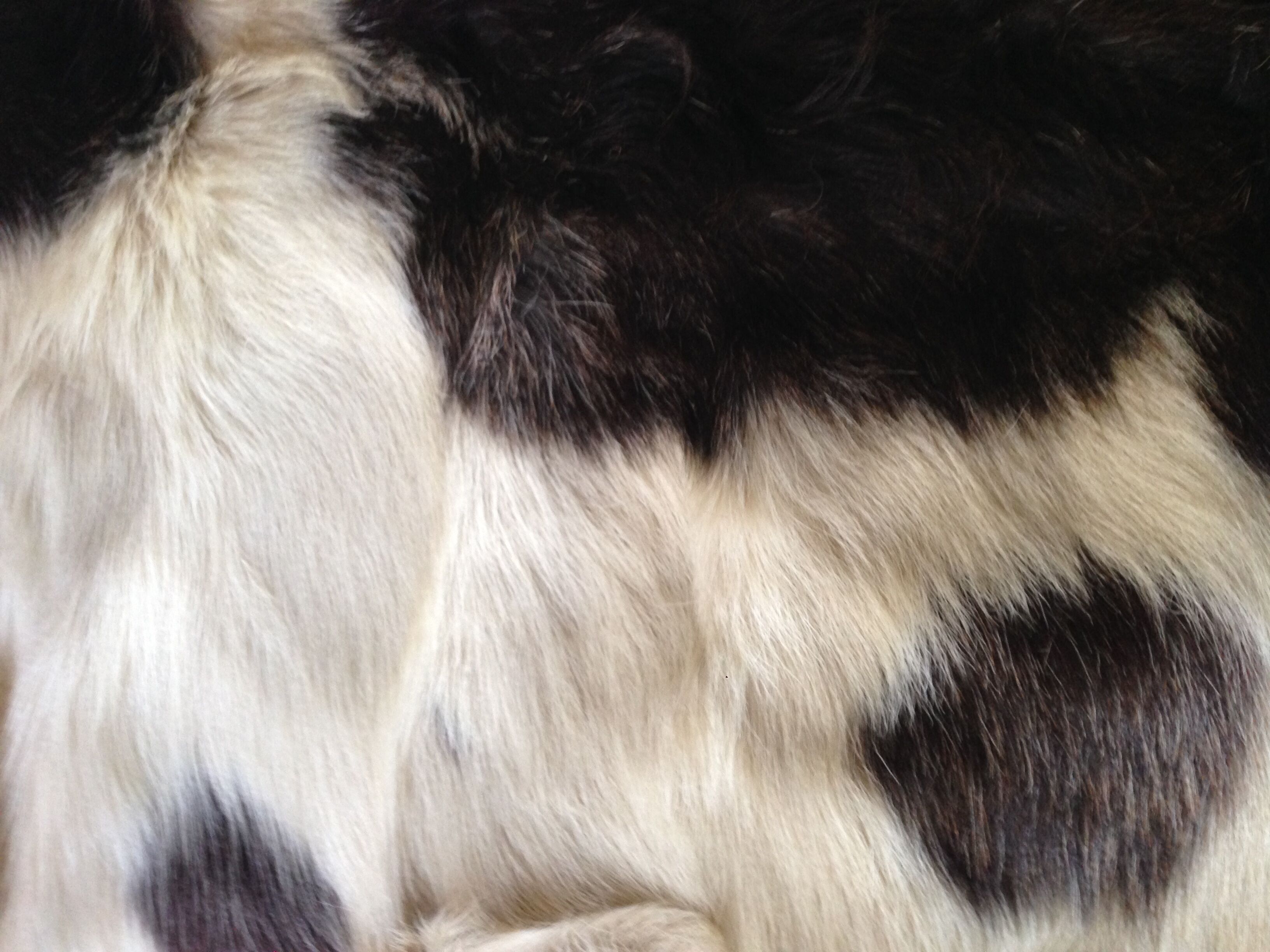 Goatskin