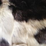 Goatskin