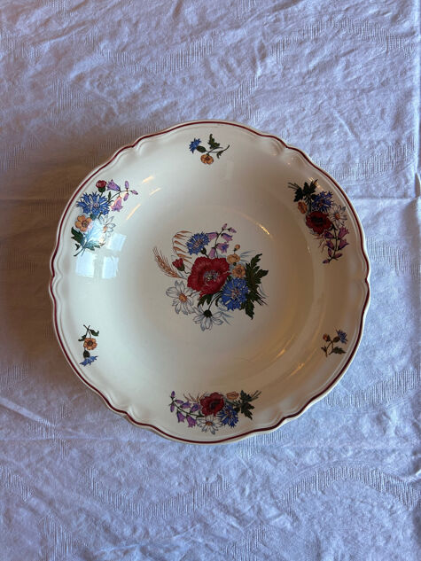 Large antique fine earthenware plate – Sarreguemines – Aigreste decoration
