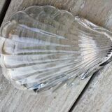 Scallop shell
