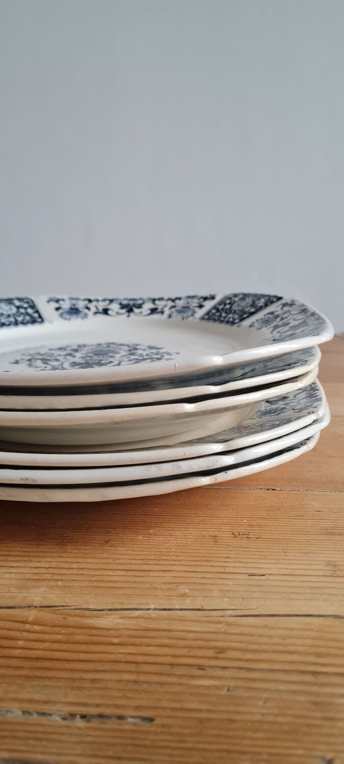 Service of 6 plates in iron earth
