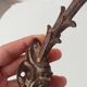 Antique wall coat hook from the 19th century in Victorian cast iron style.