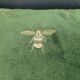 Coussin en velours motifs brodés abeilles