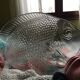 Fish dish