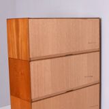 Bibliothèque modulaire, Danemark, années 1960