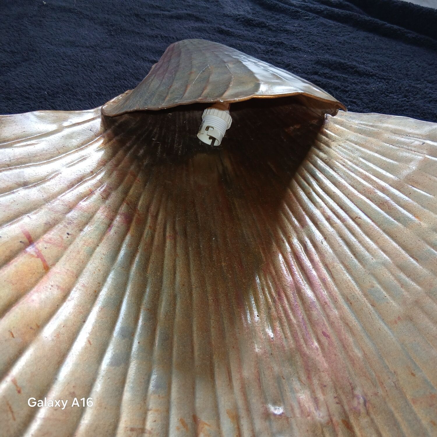 Huge shell art wall light
