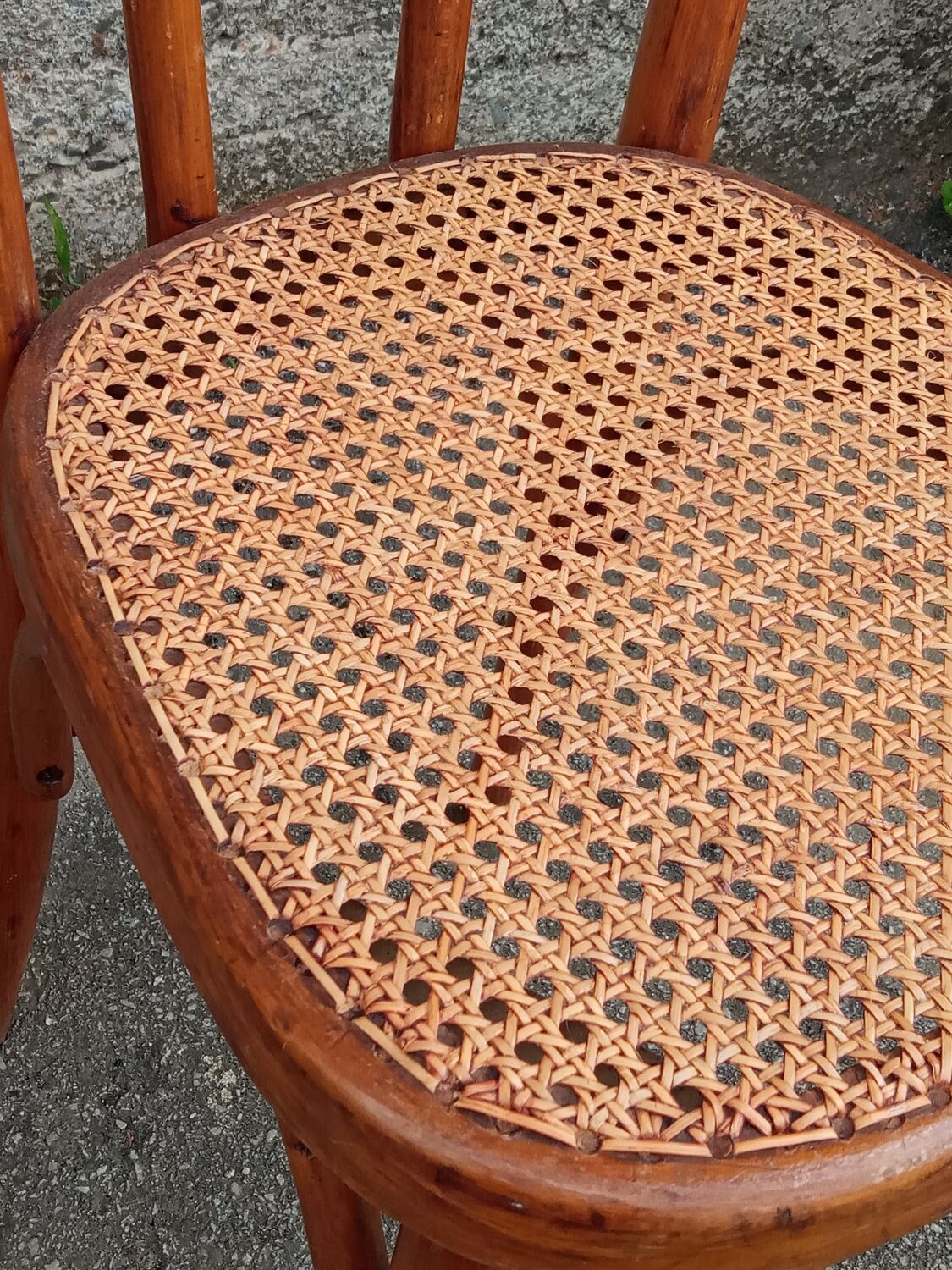Pair of caned Fischel chairs, circa 1900