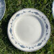 Set of 6 mismatched iron earth flat plates