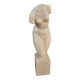 Patinated plaster aphrodite bust