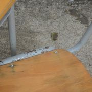 Child's desk and his chair