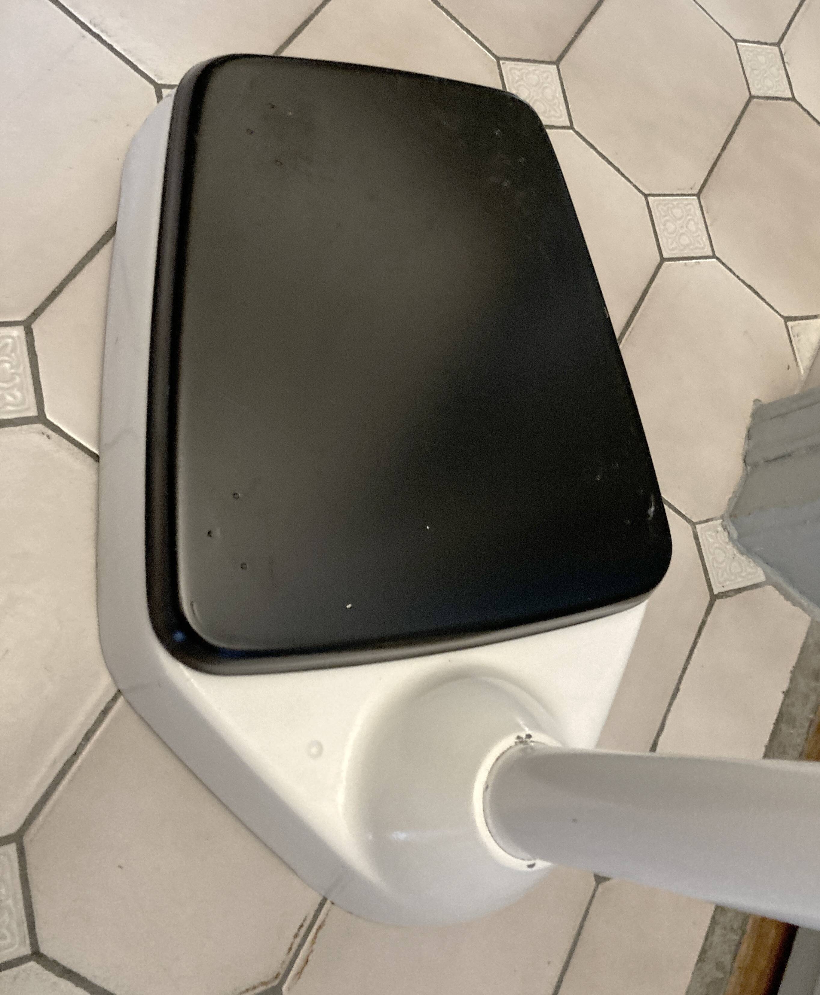 Personal scale and medicine measuring rod