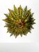 Mid-century Spanish sunburst foliage ceiling light fixture or sconce, green and gilt iron, 1950s