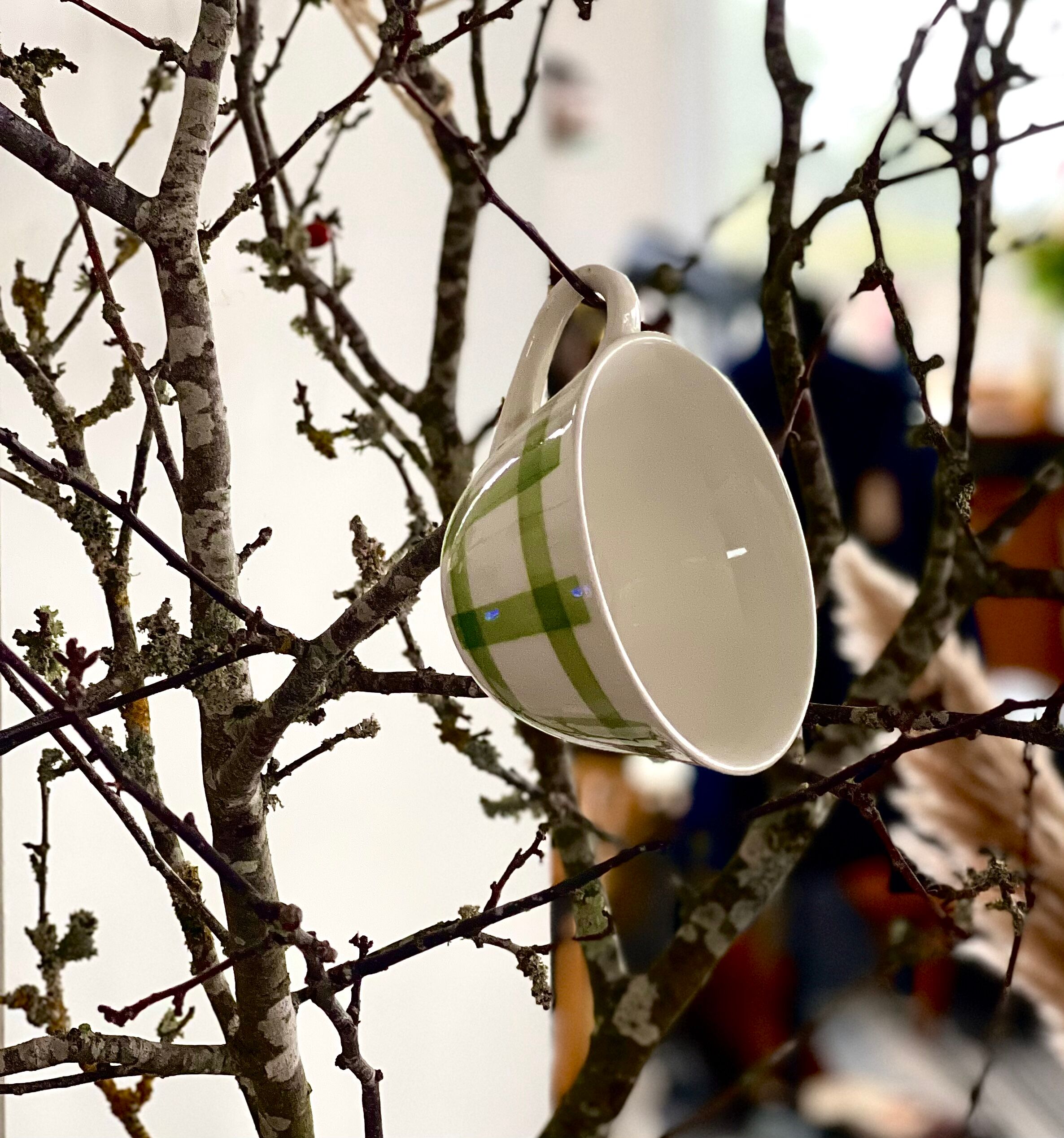 5 cups and saucers vichy 1950