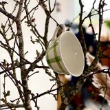 5 cups and saucers vichy 1950