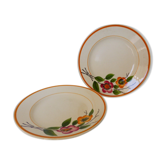 Set of 2 vintage flat plates of Sarreguemines model Montgeron in porcelain