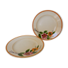 Set of 2 vintage flat plates of Sarreguemines model Montgeron in porcelain