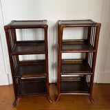 Pair of rattan harnesses