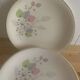 Vintage Longchamp earthenware plates