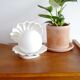 Shell lamp