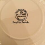 Lot of 2 hollow plates of English porcelain