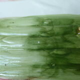 Antique asparagus dish - vintage slurry ceramic