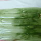 Antique asparagus dish - vintage slurry ceramic