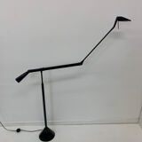 Zelig Terra Floor Lamp by Walter Monici for Lumina, 1980s