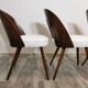 Dining Chairs by Antonin Suman, 1960s, Set of 4