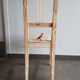 Set of 5 vintage wooden chairs