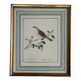 Cadre oiseau
