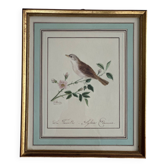 Bird frame