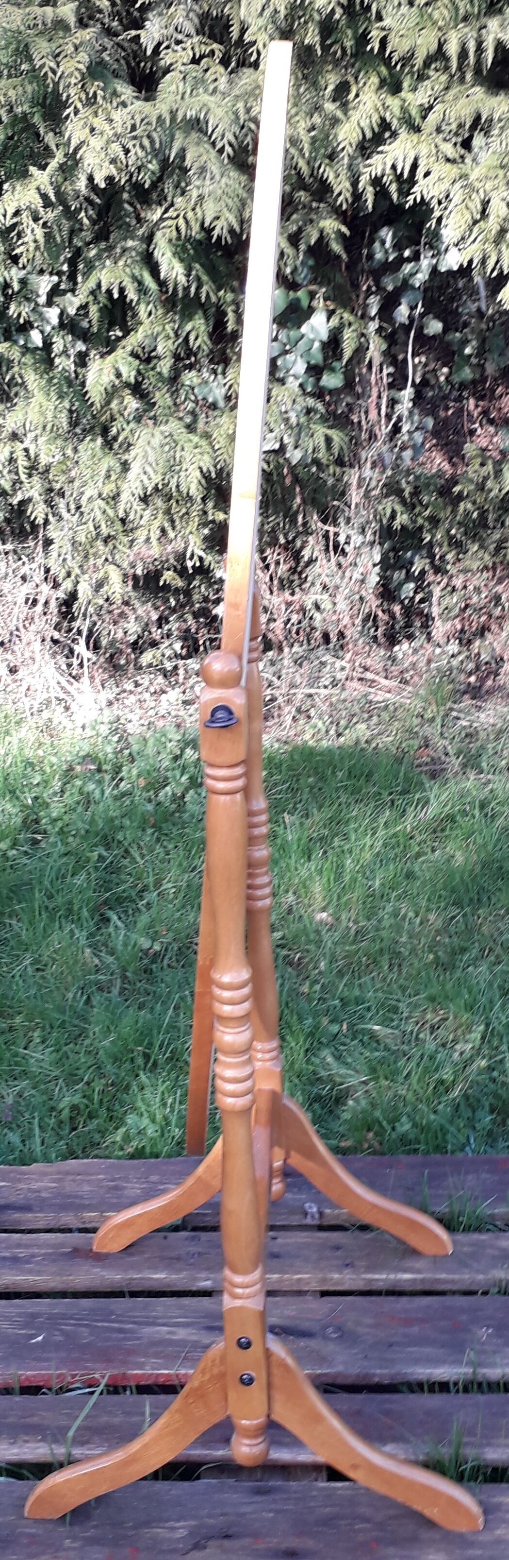 Standing psyche mirror