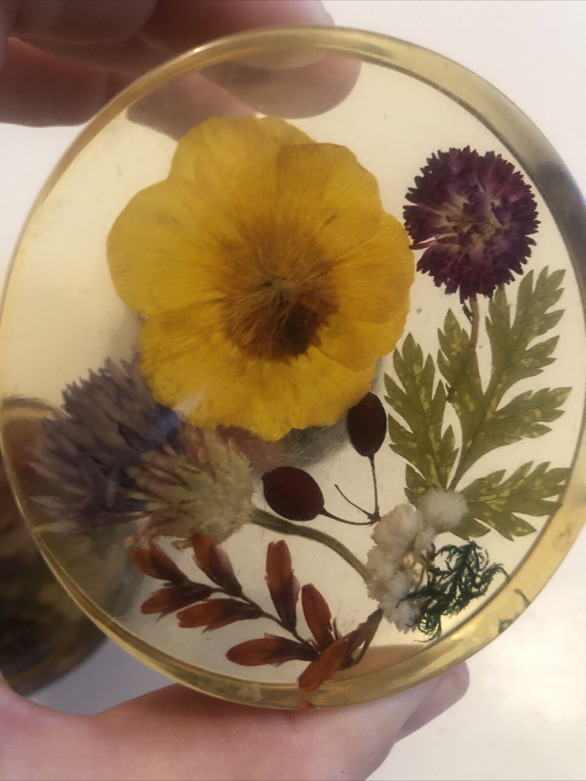 Lot 6 under glass botanical inclusion in resin genuine vintage flowers