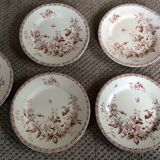 Series of 9 plates Iron Earth