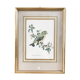 Illustration oiseau