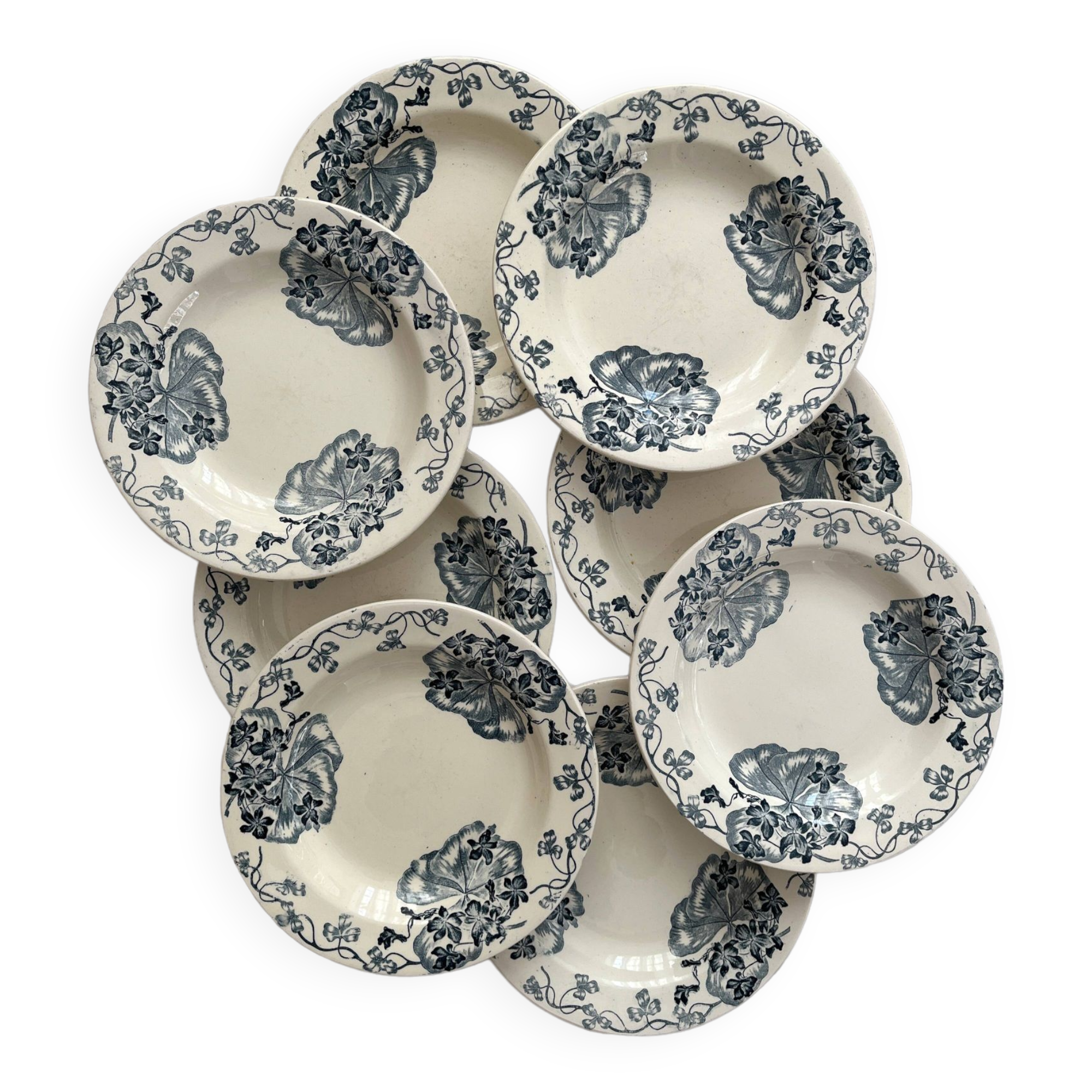 8 ironstone soup plates "Les Violettes" Salins