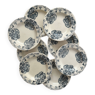 8 deep ironware plates "Les Violettes" Salins